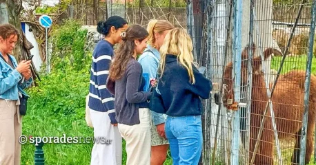 Ο Γάιδαρος | Από σύμβολο καρτερικότητας σε «ψηφιακή εικόνα» μιας χαμένης Εποχής