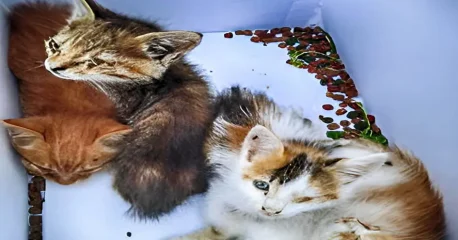 Η αδιαφορία σκοτώνει - μια έκκληση για περισσότερη υπευθυνότητα | Ανοιχτή Επιστολή προς τους Συμπολίτες μας