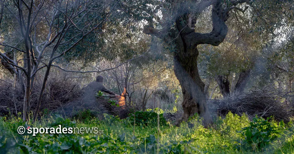 Σκόπελος / Δεν επιτρέπεται η καύση γεωργικών υπολειμμάτων (κλαδιά κ.α.) και το άναμμα φωτιάς την Πέμπτη και Παρασκευή 8 και 9 Ιανουαρίου